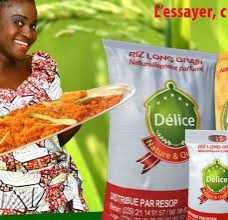 
          Riz au BÉNIN 