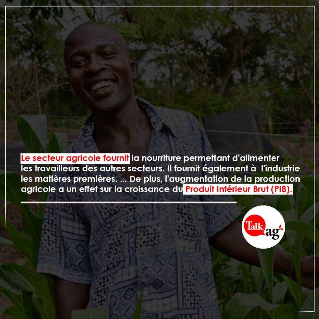 
          Richesse et Agriculture 