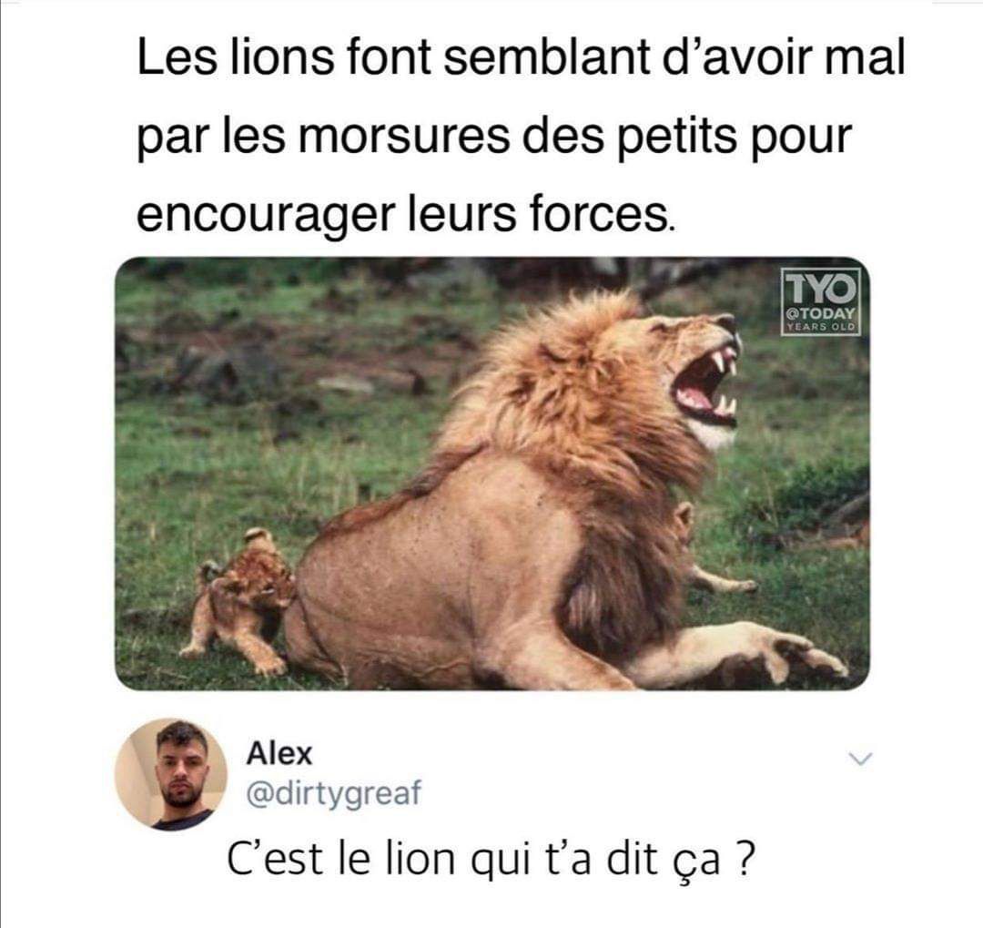 Kolas