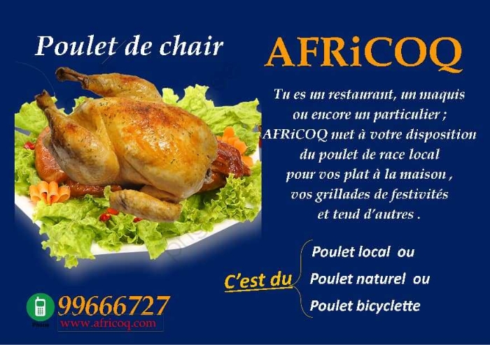 
          Connectez-vous ou inscrivez-vous pour voir le contenu
