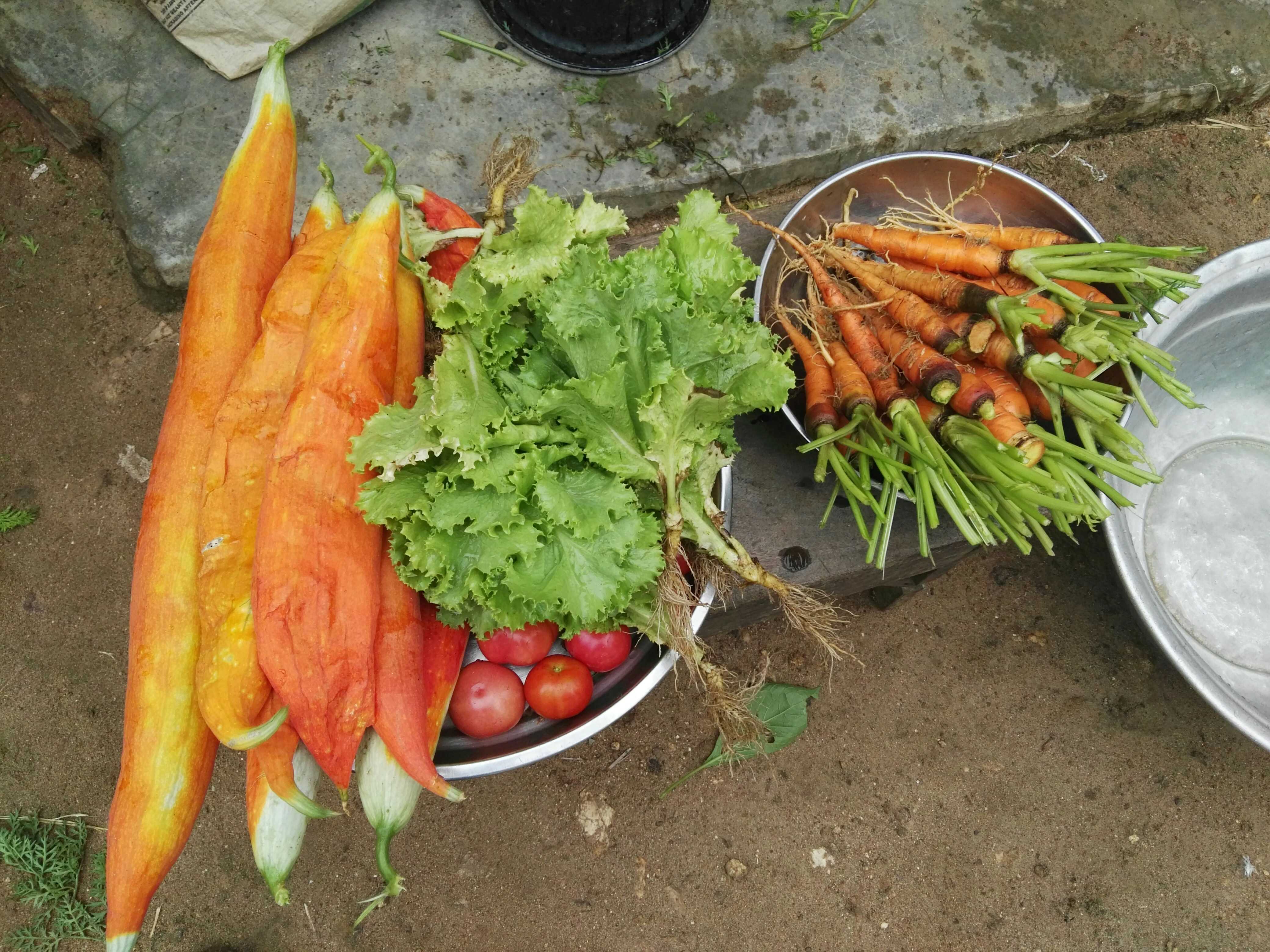 Le jardinage en milieu rural