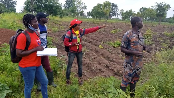 Visite d'identification et de contrôle de parcelles  à Dokoundji / commune de Glazoué SoyCain et Zénith Compagnie. Le but est d'identifier les parcelles qui sont éligibles à la production biologique de soja. Les critères d'éligibilité sont les suivantes : terre fertile sans utilisation il y a au moins trois ans de produits chimiques ou terre en jachère, pas de brûlis, terre au dessus d'une pente. 
Tout ceci pour restaurer nos sols et avoir une alimentation saine.