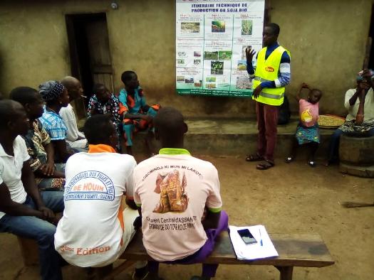 Formation de groupement des producteurs du soja biologique