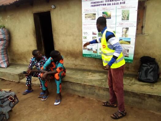Formation de groupement des producteurs du soja biologique