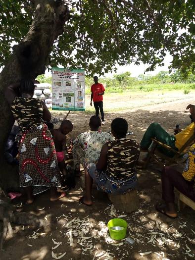 Formation des producteurs du soja biologique