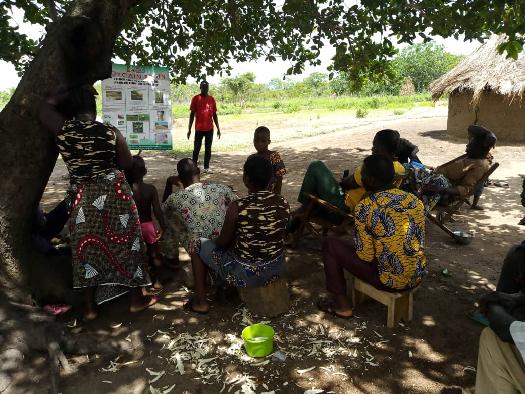 Formation des producteurs du soja biologique