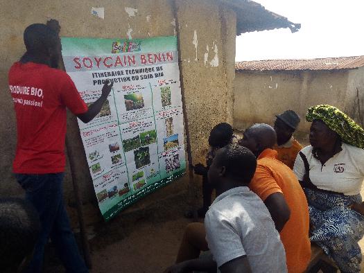 Formation des producteurs du soja biologique par Soycain Bénin