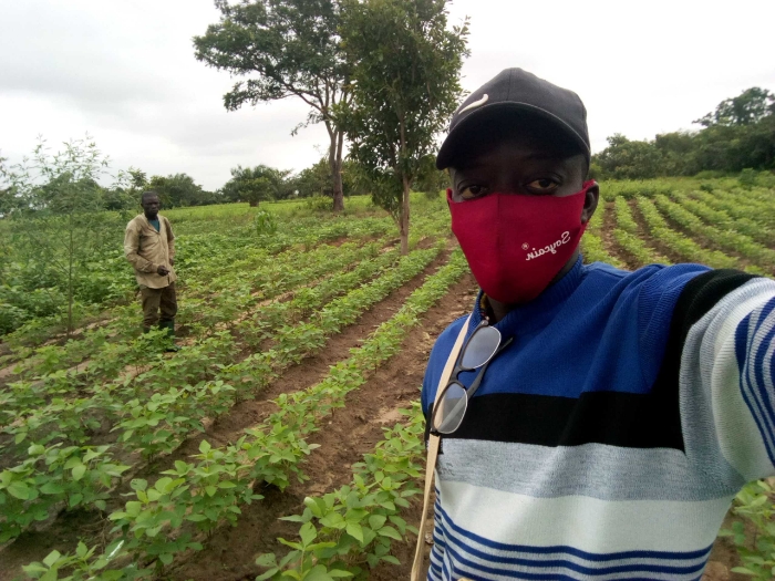 Soycain Bénin / CI Glazoué / Visite de champs