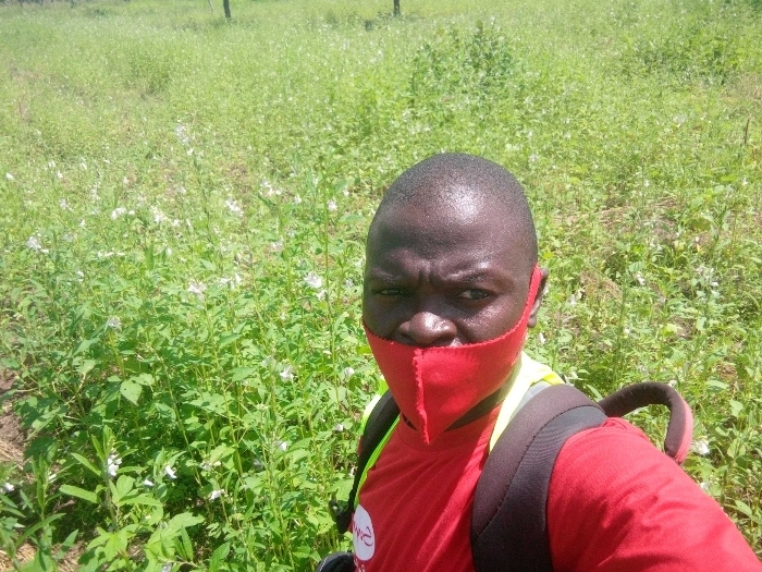 Soycain Togo/ POUDEMABIYA..... On peut s'attendre aussi à un bon rendement du sésame pour la campagne en cours. Les observations ont été faites depuis G. Kouka dans la région de la Kara.