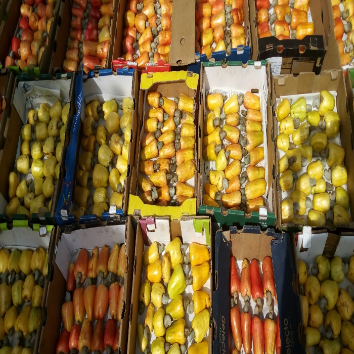 
          La pomme de cajou est de grande utilité mais que les professionnels du domaine ont longtemps ignoré. Découvrez désormais des jus de pomme de cajou sur le marché local togolais.