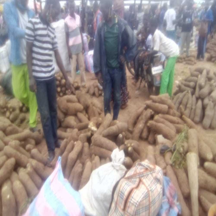 Le marché de Guérin-kouka (Préfecture de Dankpen) dénommé marché de tubercules, une référence pour l'approvisionnement en semenceaux d'igname de toutes variétés. Il s'anime tous les dimanches.