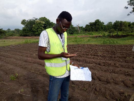 SOYCAIN BÉNIN CI-DASSA: Audit avant semis