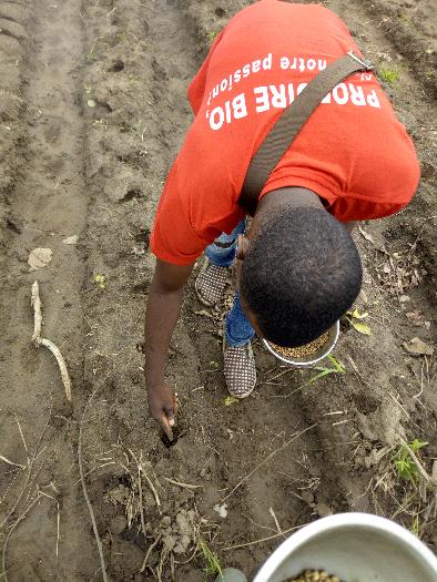 SOYCAIN BÉNIN CI-DASSA: Activités de Soycain