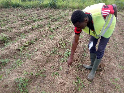 SOYCAIN BÉNIN CI-DASSA: Activités de Soycain