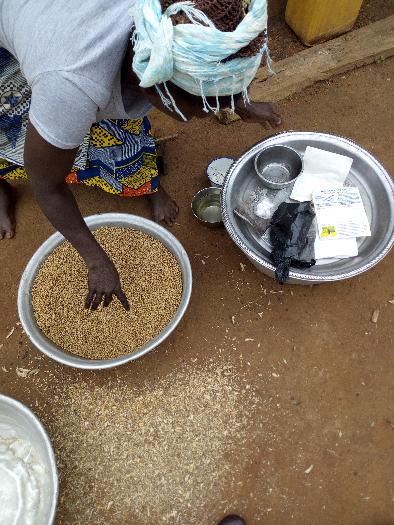 SOYCAIN BÉNIN CI-DASSA: Formation sur l'utilisation de l'inoculum