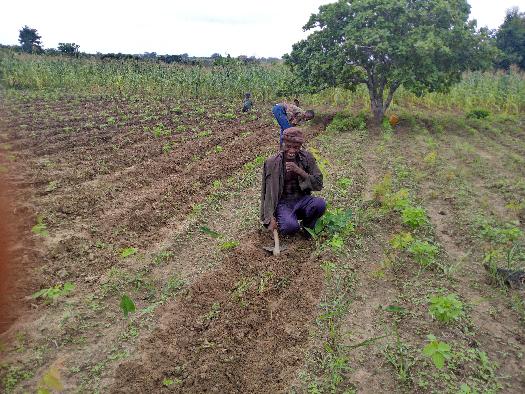 SOYCAIN BÉNIN CI-DASSA: Visite de contrôle