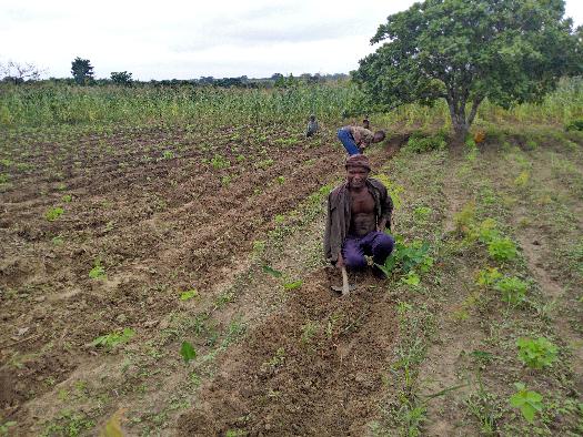 SOYCAIN BÉNIN CI-DASSA: Visite de contrôle