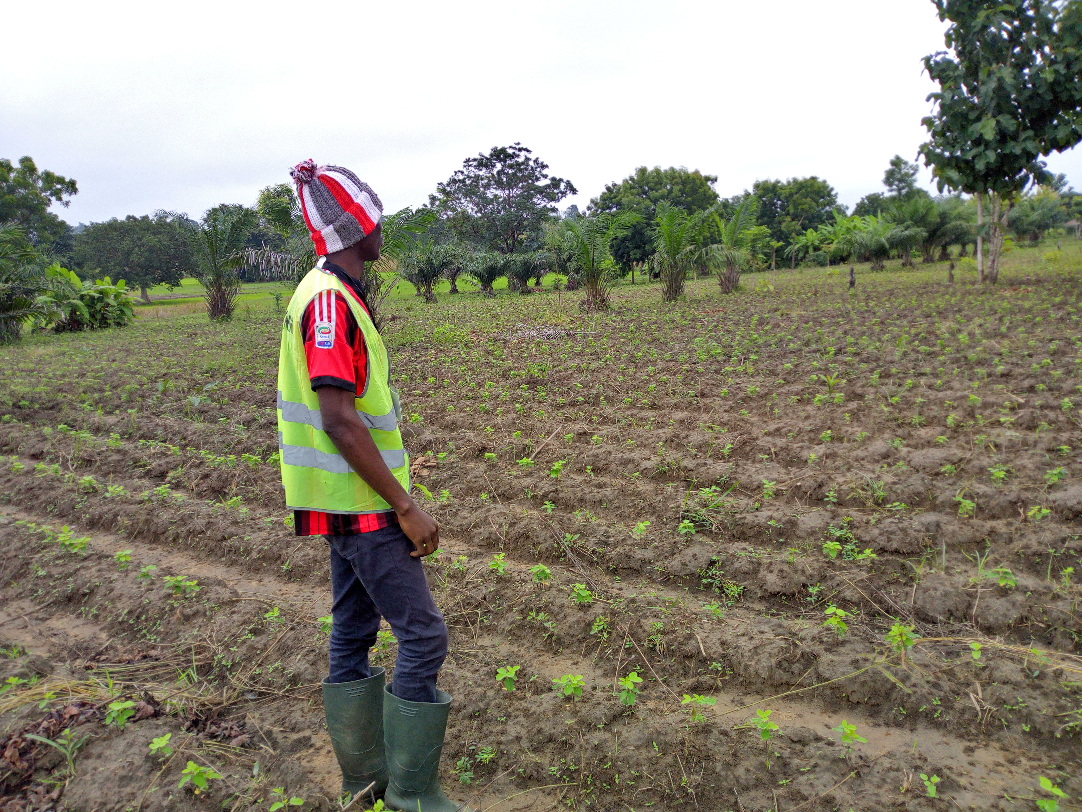 
          SOYCAIN-BENIN: C.I Dassa Contrôle et inspection