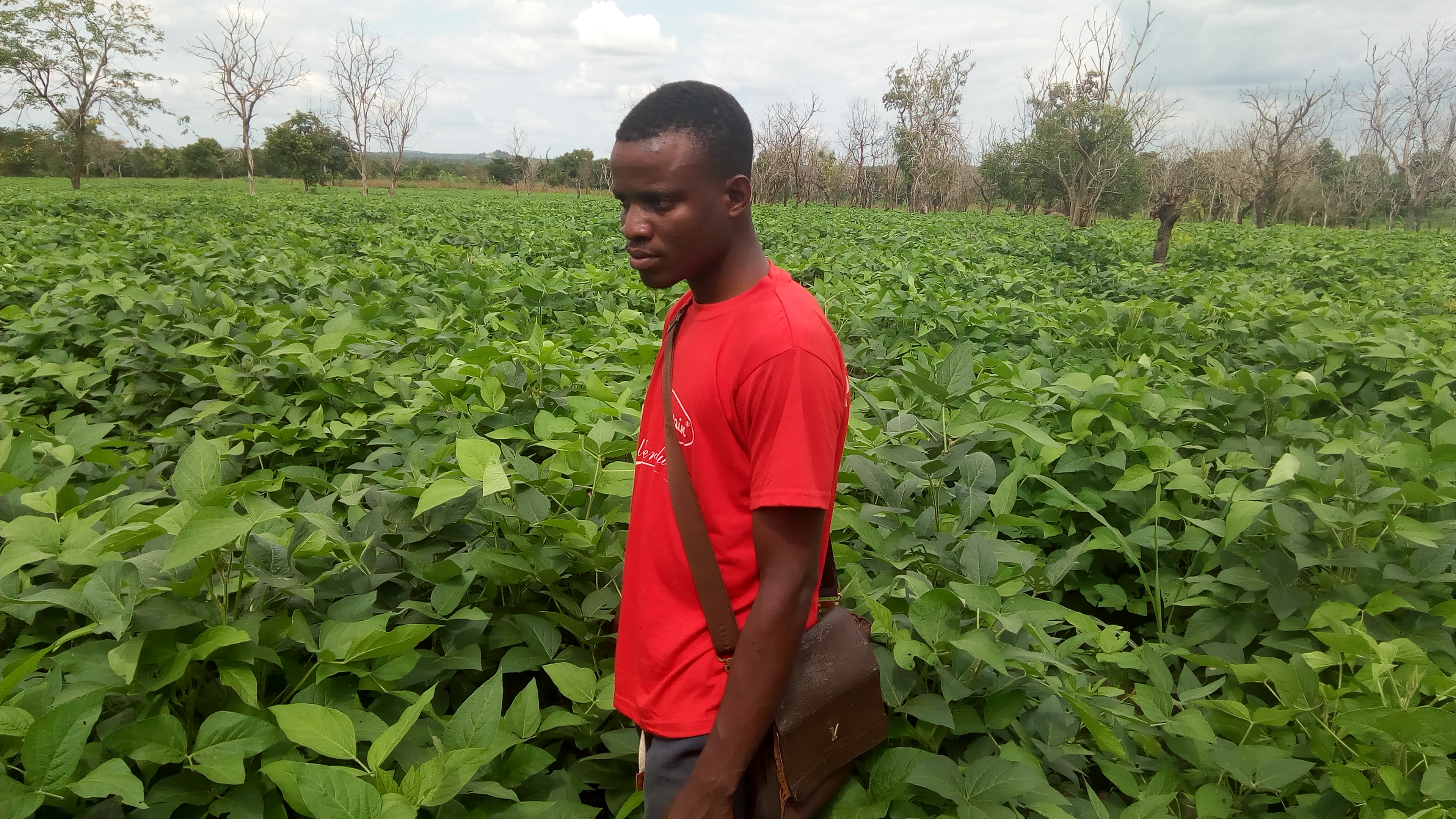 
          SOYCAIN-BENIN C.I Dassa: Visite et contôle