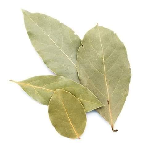 
          #Feuilles_de_laurier