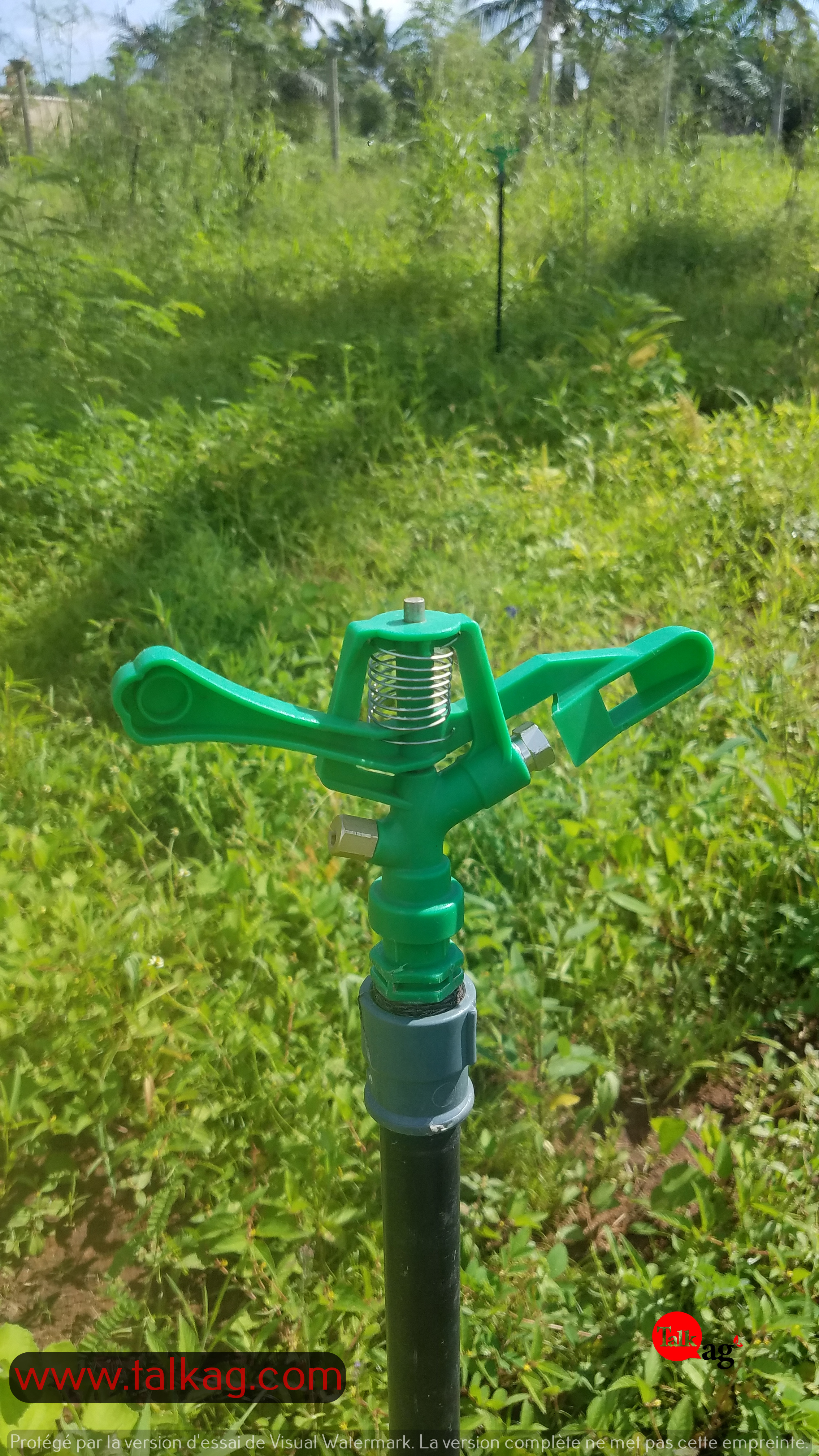 
          FERTILITÉ DES SOLS : QUELQUES OUTILS POUR AFFINER L'OBSERVATION 💦🌱🌾