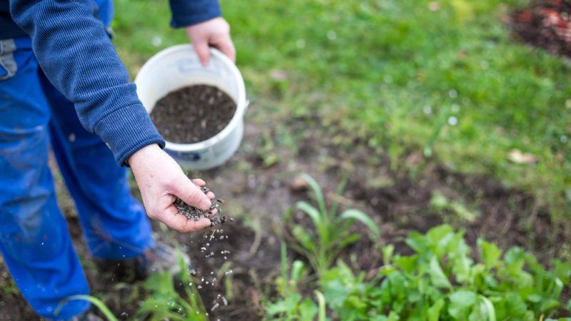 
          Engrais, quelle est la solution la moins coûteuse pour trouver du phosphore dans le sol ?