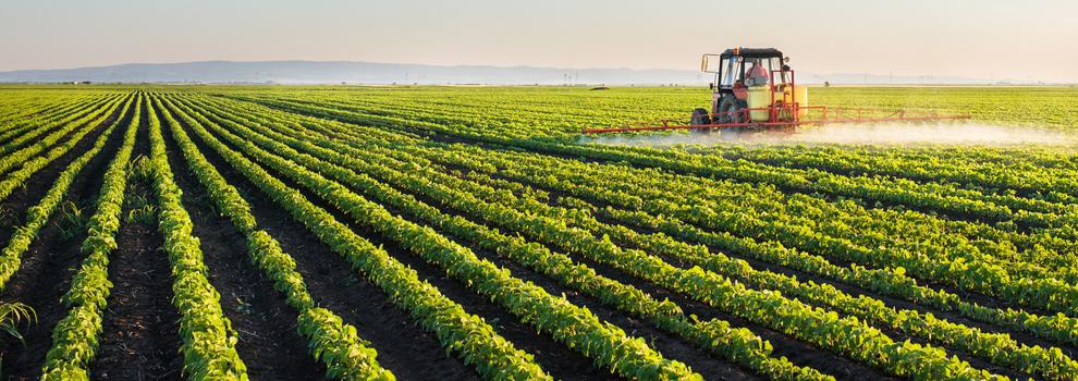 
          Engrais Azoté/ Nitrate de sodium : Paramètres à respecter en cas d’utilisation du nitrate de sodium dans les champs