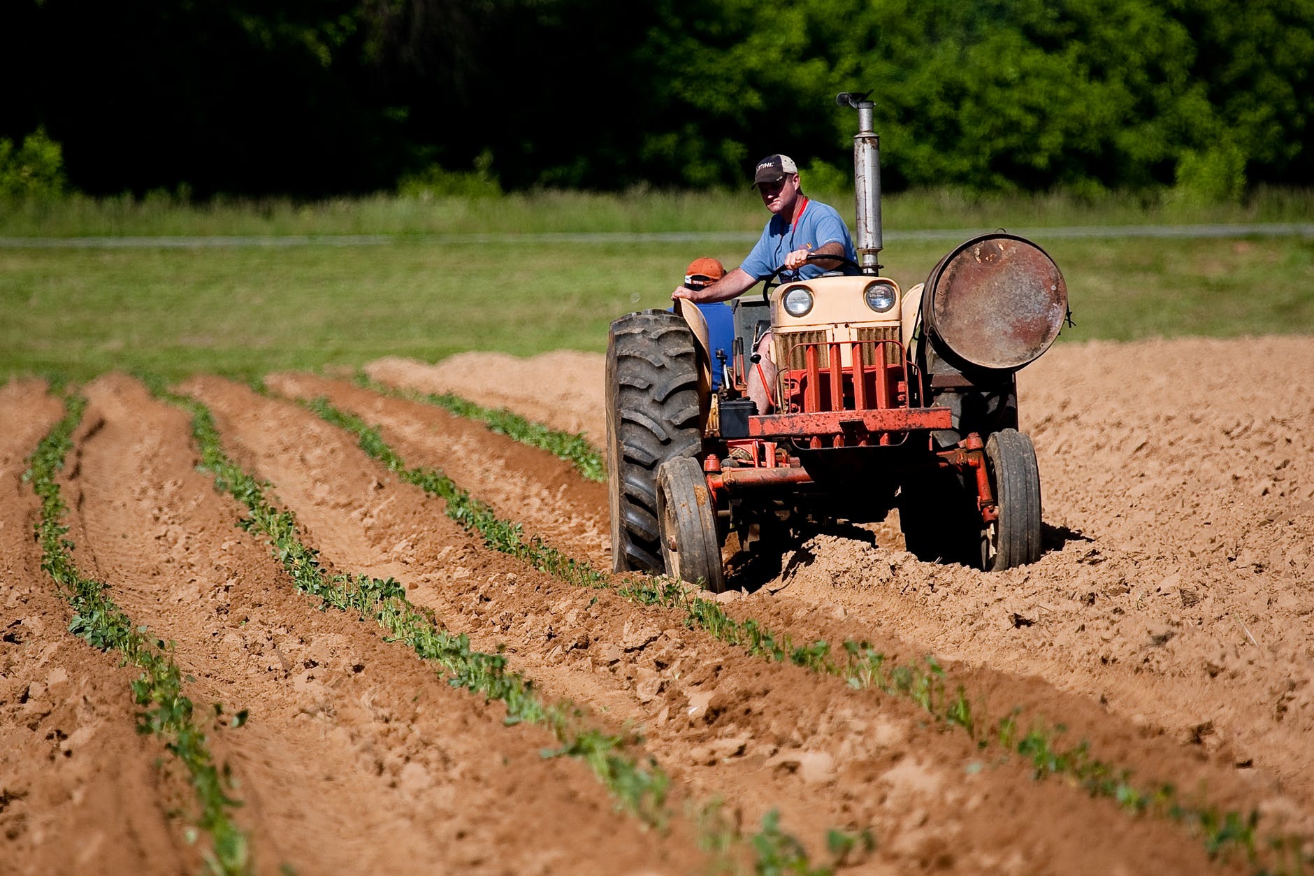 
           Zone tampon : Changements pour les agriculteurs et les consommateurs 