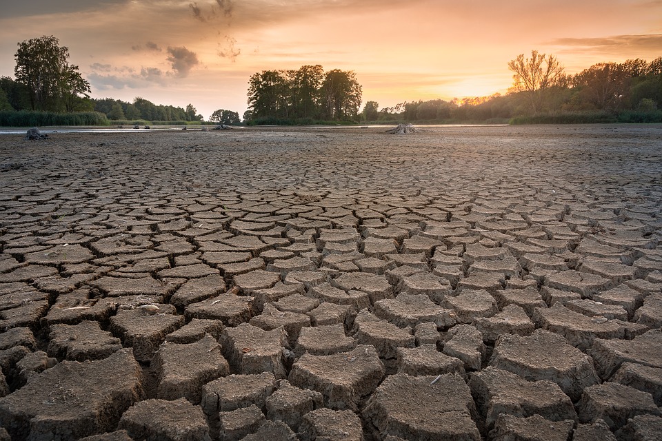 
          Restrictions d’eau : Des mesures de restriction prises à cause de la sécheresse