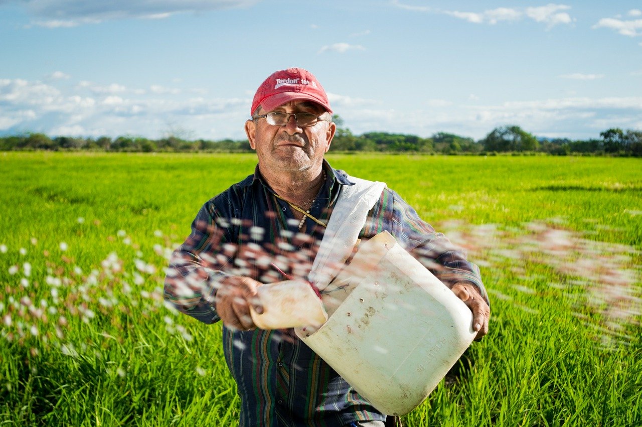 
          Séparation du conseil et de la vente des produits phytosanitaires