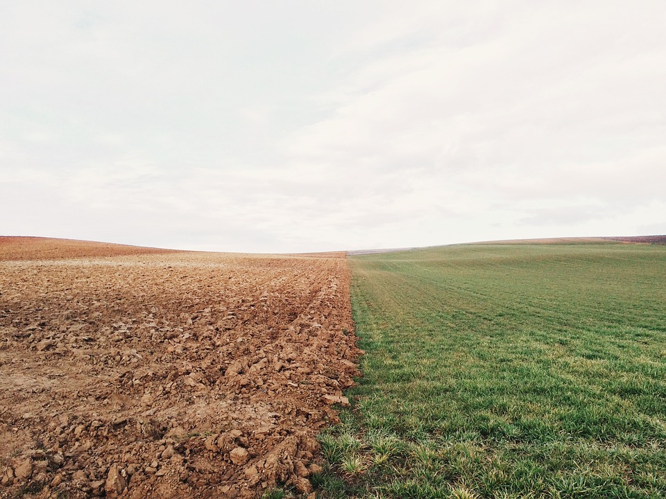 
          Agribashing, la nouvelle norme qui frustre l’agriculture conventionnelle