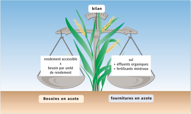 
           Bilan azoté prévisionnel simplifié