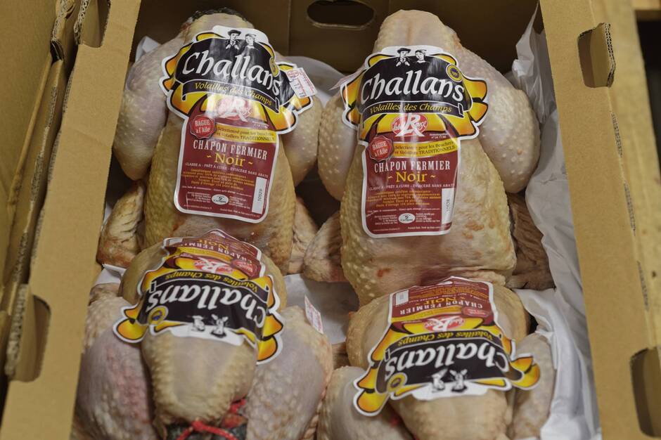 
          Vendée : Le poulet de Challans fait son nid au sein de la Cavac