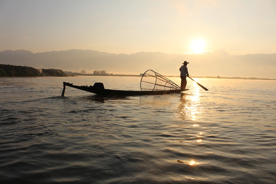 
          Pisciculture en France : L’histoire de la pisciculture française 