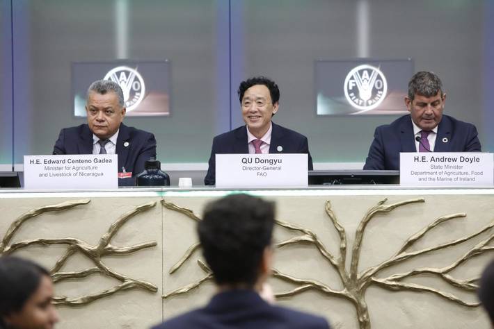 
            L’Organisation des Nations Unies pour l’alimentation et l’agriculture (FAO) lance l’Année internationale de la santé des végétaux (IYPH) 2020