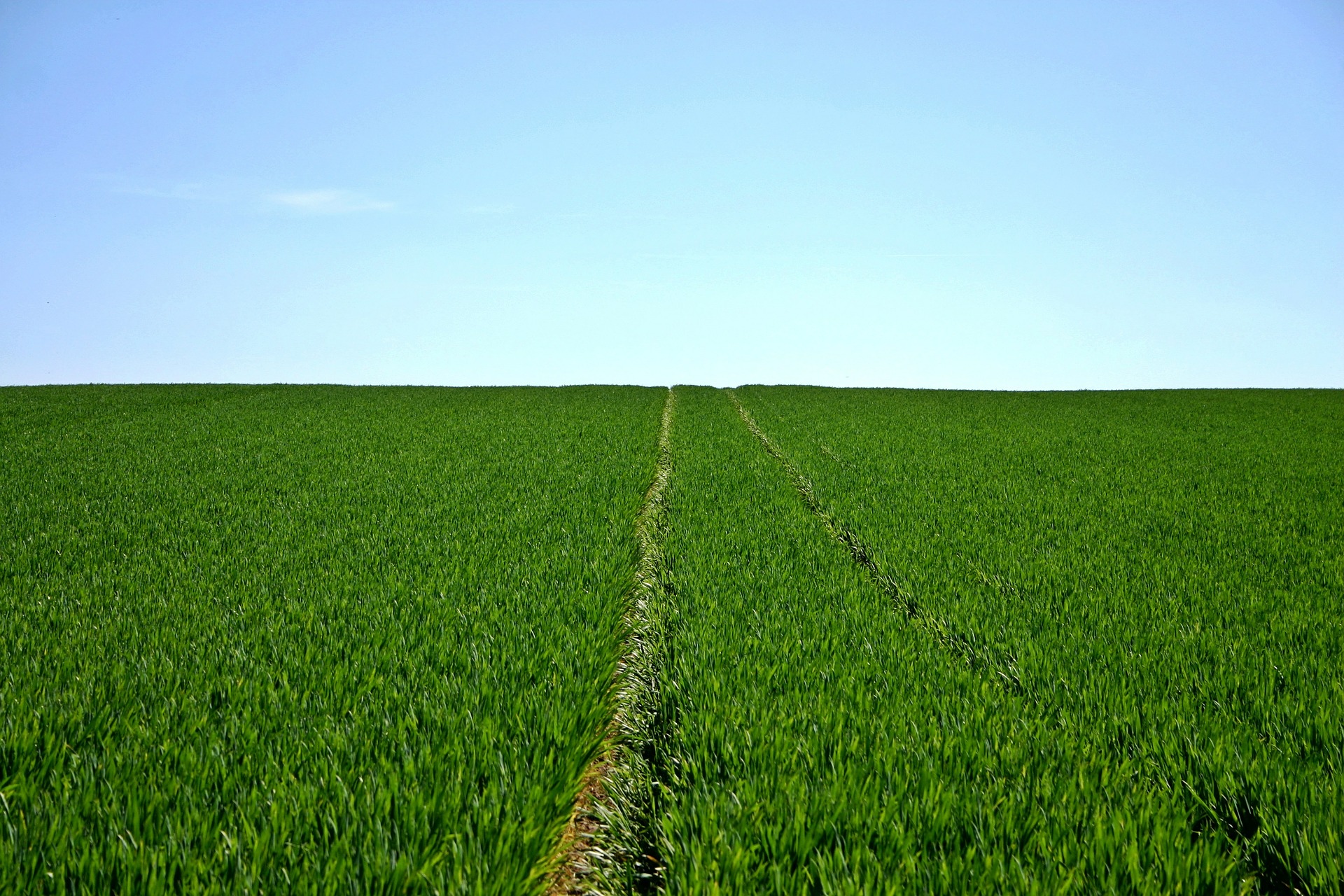 
           Agriculture de conservation : Définition et historique