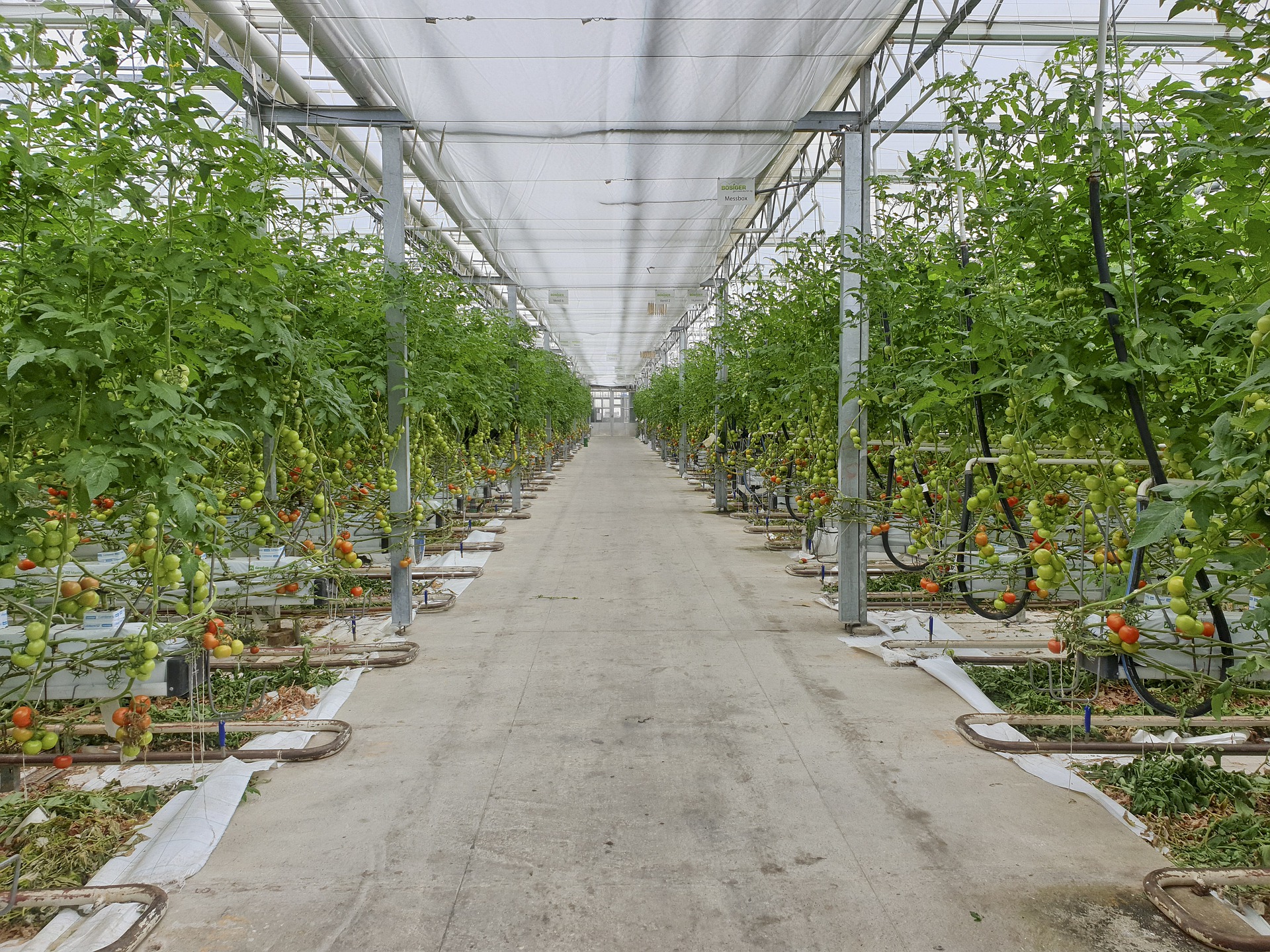 
          Comprendre l’agriculture hors sol