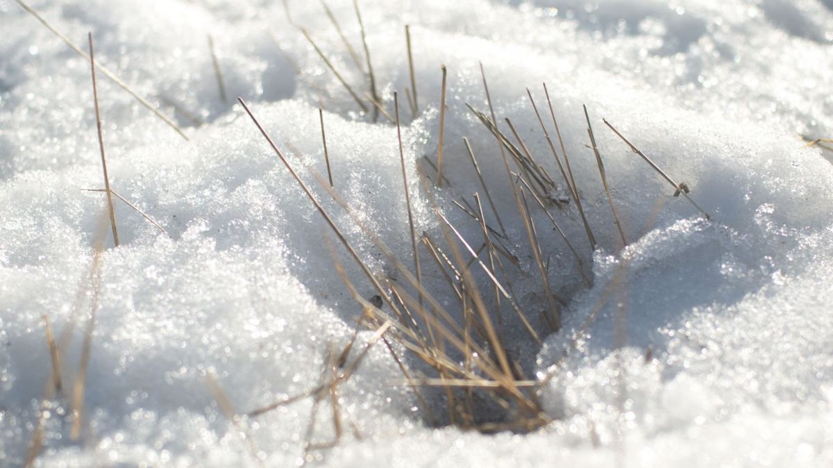 
          Janvier 2020 est le plus chaud jamais enregistré en 141 ans