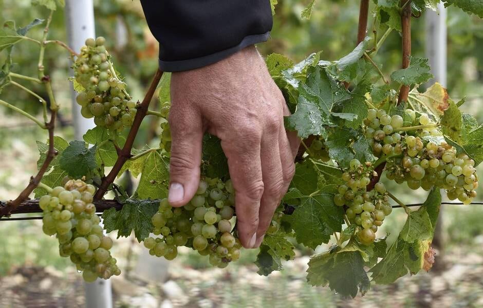 
            Le monde agricole se doit de se renouveler 