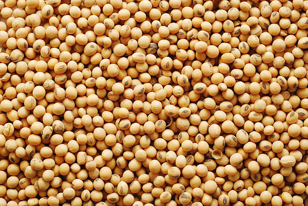 
          Revue des marchés du 13 Mars 2020 : Le soja