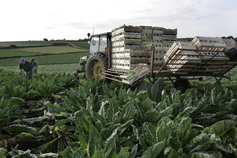 
            Finistère. Français appelés à aider les agriculteurs : Des possibilités juridiques en étude