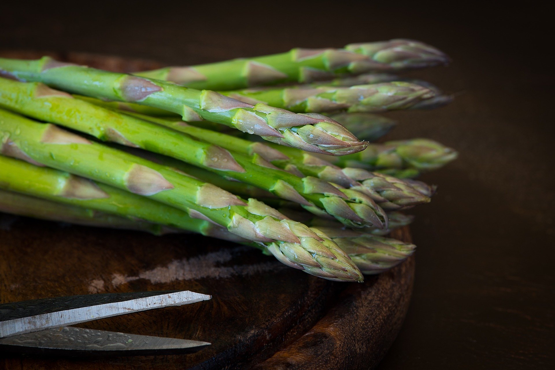 
          Réussir la culture des asperges : Conduite de la culture et quand procéder à la récolte