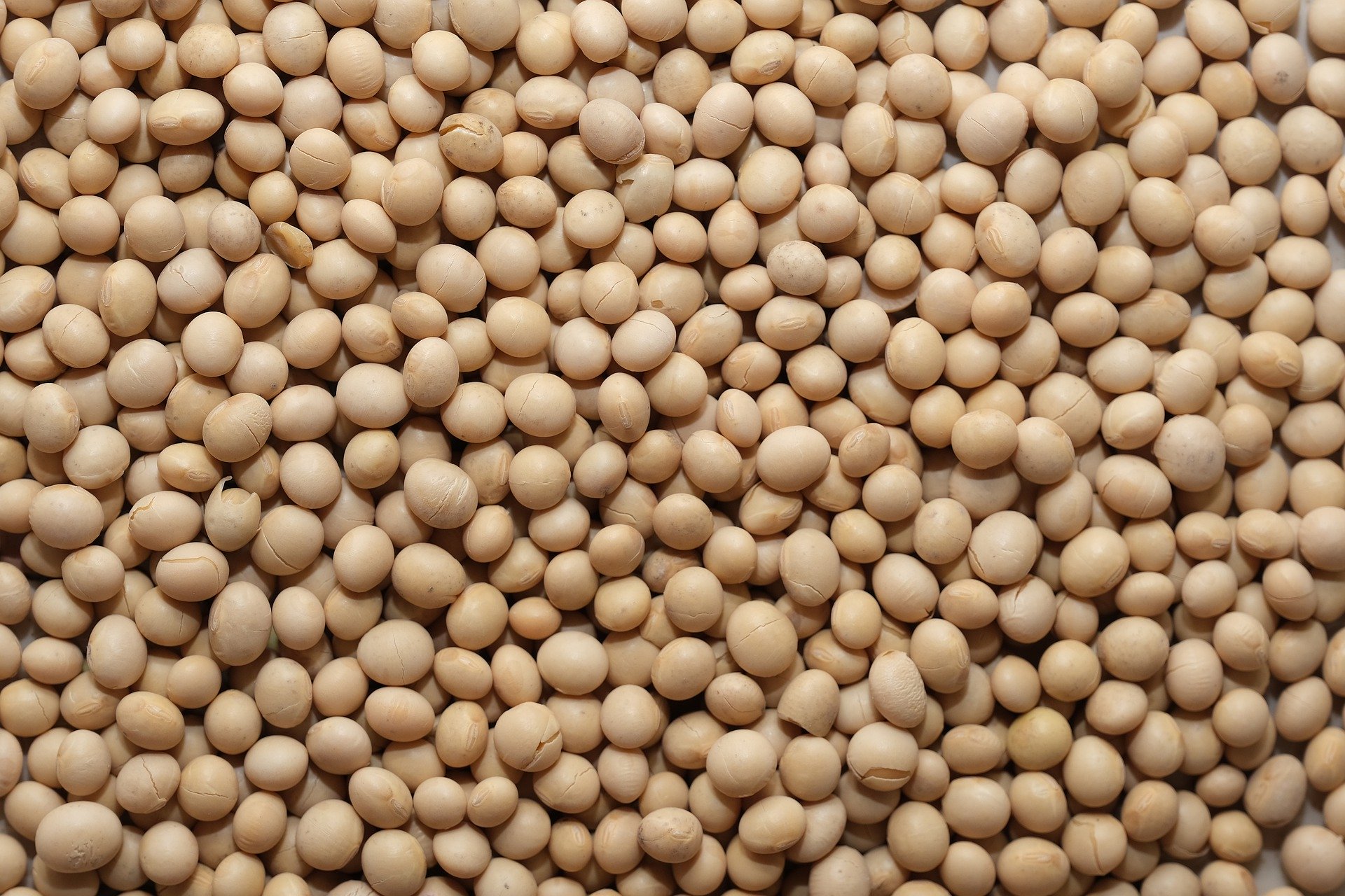 
           Revue des marchés du 6 Avril 2020 : Le soja