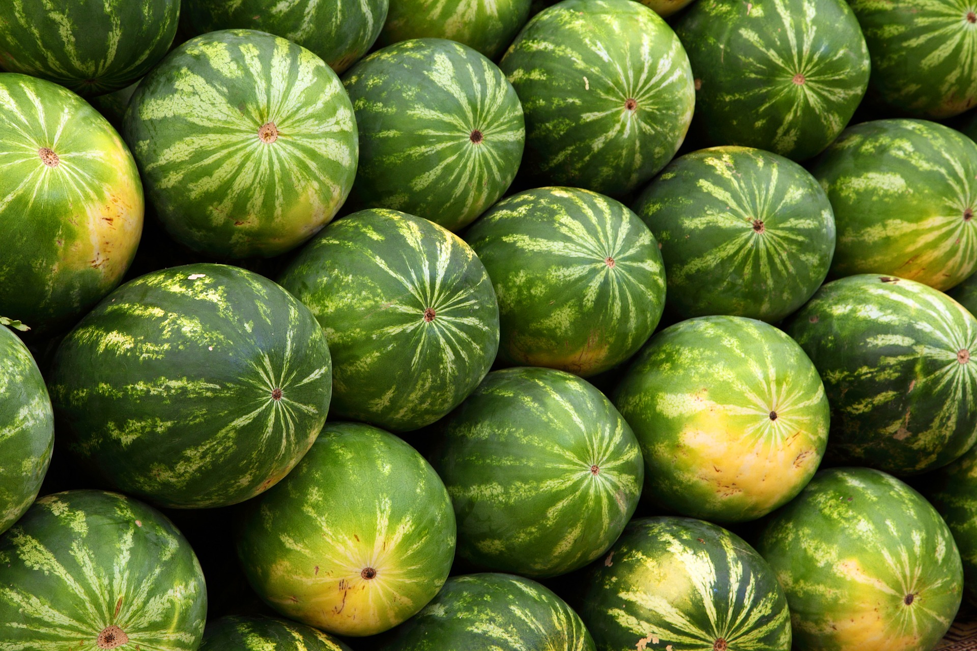 
          L’Allemagne rejette des pastèques d’Espagne pour excès de pesticides