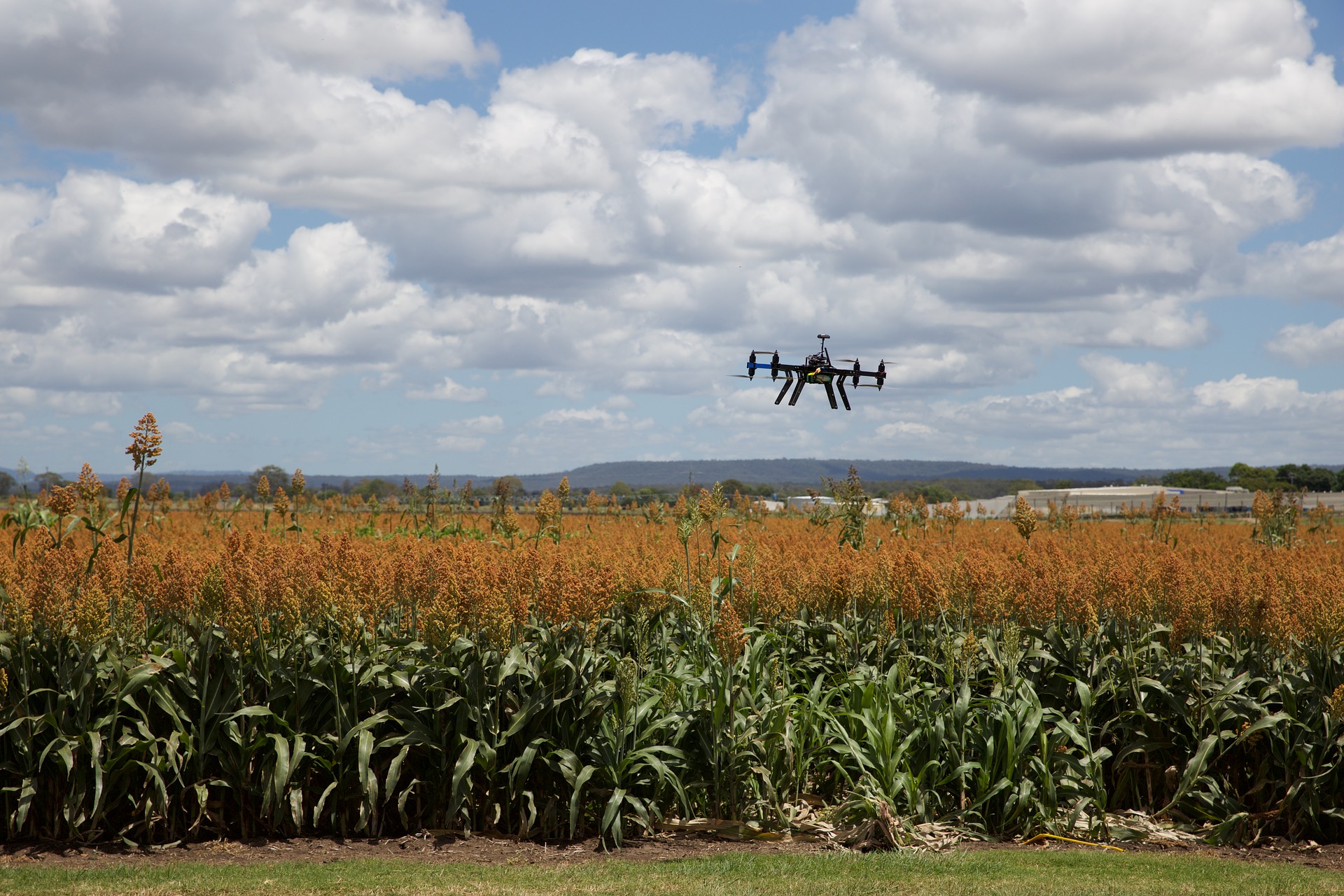 
          La GIZ lance les candidatures 2020 pour son programme de formation des start-up agricoles et agroalimentaires africaines