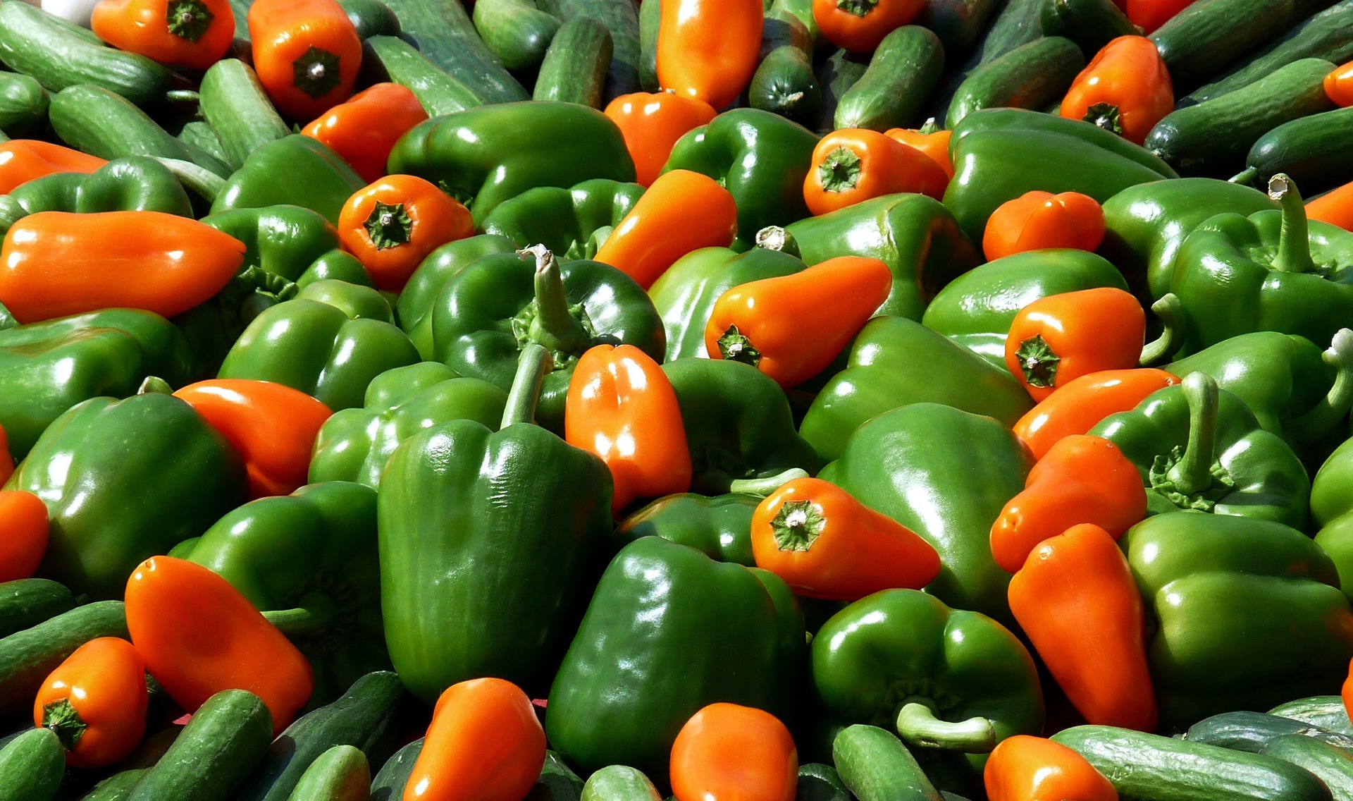 
          Le Maroc, cinquième pays exportateur de poivrons au monde