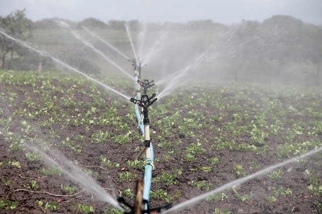 
          L’IRRIGATION, UN MOYEN EFFICACE POUR PALLIER LES EFFETS DE LA SÉCHERESSE DANS LES CHAMPS