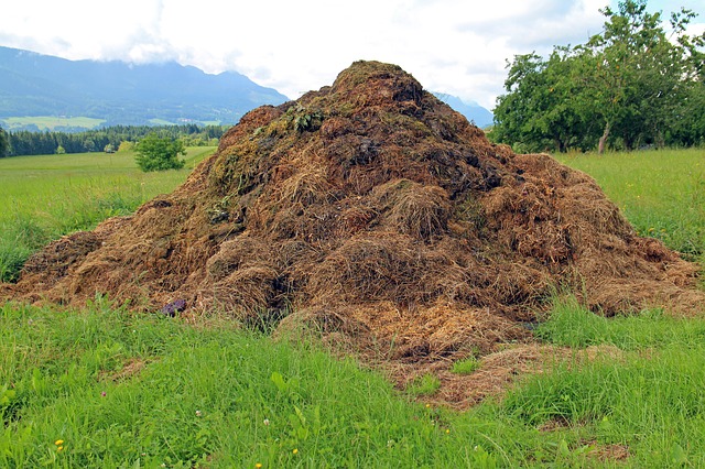 
           NOURRIR NATURELLEMENT LE SOL POUR OPTIMISER SON RENDEMENT AGRICOLE