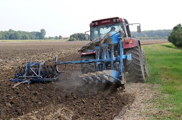 
            L’UTILISATION DES LEVIERS AGRONOMIQUES POUR RÉUSSIR SON CHAMP DE COLZA 