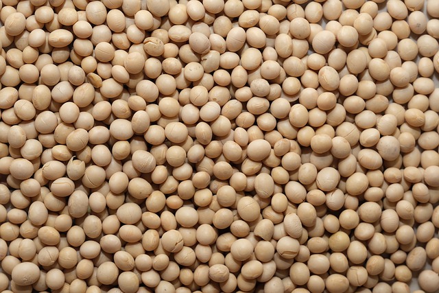 
           LES BONNES PRATIQUES À METTRE EN PLACE POUR LE STOCKAGE DU SOJA APRÈS LA RÉCOLTE